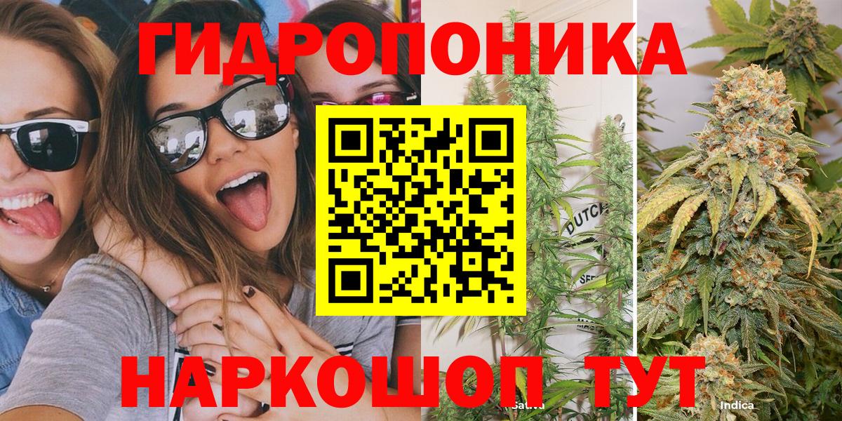 Канабис план Югорск